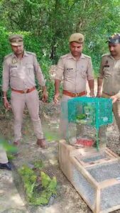 वन्य जीवों की तस्करी करने में 07 को भेजा गया जेल