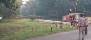 झुंड में छोटे बच्चों सहित 20 से 25 हाथी हैं शामिल