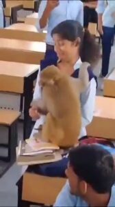 छात्रों ने यह दृश्य अपने-अपने कैमरों में कैद कर लिया। 