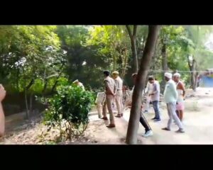 बीकापुर विधान सभा क्षेत्र में भेड़िए का आतंक,