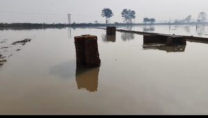 प्लाटिंग करने के लिए खरीदा गया कृषि भूमि खेत।