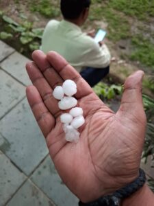 यूपी के संभल में बारिश किसानों को बनी आफत,