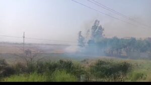 मछुआरों ने गेहूं के खेत को फूंका बीस बीघा में फैली आग