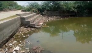 तालाब में मरी हजारों मछलियां, सड़ने से लोगों का जीना हुआ दुश्वार।