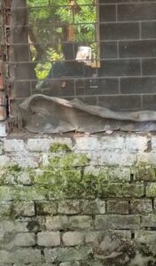 मिशन शक्ति अभियान" को पलीता लगा रही प्रधानाध्यापिका का वीडियो हुआ वायरल, मचा हड़कंप