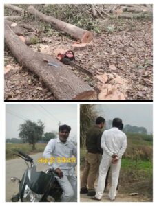 सोनही गांव में हरे पेड़ों पर चली मशीनें, बिना परमिशन कटान का आरोप पुलिस-वन विभाग की सांठगांठ की चर्चा* 