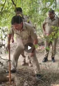 40 लीटर अवैध कच्ची शराब व 250 किलो लहन बरामद कर मौके पर नष्ट  